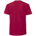 thumbnail image 2 of Fruit Of The Loom T-Shirt Iconique 195 Ringspun Premium pour Hommes, 2 of 3