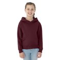 thumbnail image 1 of Jerzees Youth NuBlend Pull Over Hooded Sweatshirt, XL, Maroon, 1 of 3