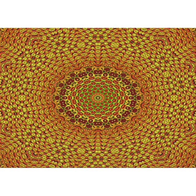 Ahgly Company Machine Washable Indoor Rectangle Transitional Brown Area Rugs, 8' x 10'