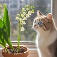 thumbnail image 1 of GSDWIUEW Lily of The Valley Bare Root Pips/Convallaria Majalis Roots (10, 20, or 30 Pcs) Fragrant Shade Perennial Flowers Easy to Plant, Returns Every Year (White,20), 1 of 4