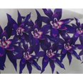 thumbnail image 4 of oneOone Georgette Viscose Fabric Flower Artistic Decor Fabric Printed BTY 42 Inch Wide, 4 of 4