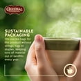 thumbnail image 4 of Celestial Seasonings Bengal Spice Herbal Tea, 4 of 7