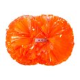 thumbnail image 1 of Binwennn Cheerleading Handheld Colorful Flowers Sports Activities Performance Cheering Supplies Round Colorful Practical Material Lightweight Handle Design Off Party Decorations for Women Party, 1 of 4