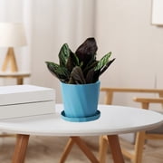 RRJ Scandinavian Style Plant Pots With Saucers, Resin Imitation Ceramic Gallon Flower Pots, Thickened Long-Lasting Indoor Outdoor Decorative Planters For Home Garden Decor
