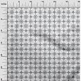 thumbnail image 2 of oneOone Organic Cotton Poplin Twill Fabric Square & Triangle Geometric Print Sewing Fabric BTY 42 Inch Wide, 2 of 4