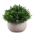 thumbnail image 1 of Artificial Plant Potted Lifelike Round Fake Greenery Plant Faux Plant Decoration, 1 of 10