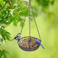 thumbnail image 3 of 1 Pc Hanging Suet Bird Feeder Metal Mesh Platform Outdoors Garden Yard Attracting Decor, 3 of 8
