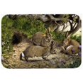 thumbnail image 1 of Carolines Treasures BDBA0136CMT Rabbits & the Rabbit Hole Kitchen or Bath Mat, 20 x 30, 1 of 1