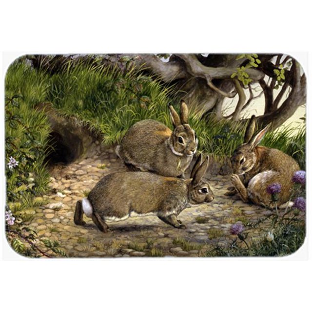 Carolines Treasures BDBA0136CMT Rabbits & the Rabbit Hole Kitchen or Bath Mat, 20 x 30