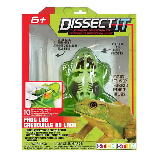 Dissect It - Trousse de dissection Synthétique de Laboratoire de Grenouilles Comprenant une Grenouille Verte en Gélatine avec une structure Squelettique et des Organes de 10 Pcs, Comprend des instruments Chirurgicaux Sûrs et une table de dissection, Idéale pour l'Apprentissage de la Biologie STIM, et Livrée avec un Paquet de Recharge de Grenouilles Gratuit.