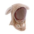 thumbnail image 1 of Milaget Kids Winter Hat Windproof Balaclava Face Cover for Boys Girls Cycling Skiing Rabbit Ears Khaki, 1 of 9