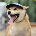 thumbnail image 3 of Dog Cap  Adjustable Pet Baseball Hat Outdoor Sunshade Cap Visor  Hat with Ear Holes for Puppy Small Dogs, 3 of 7