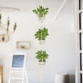 thumbnail image 2 of Plants Planter Flower Pot Hanging Rope Basket For Indoor, 2 of 4