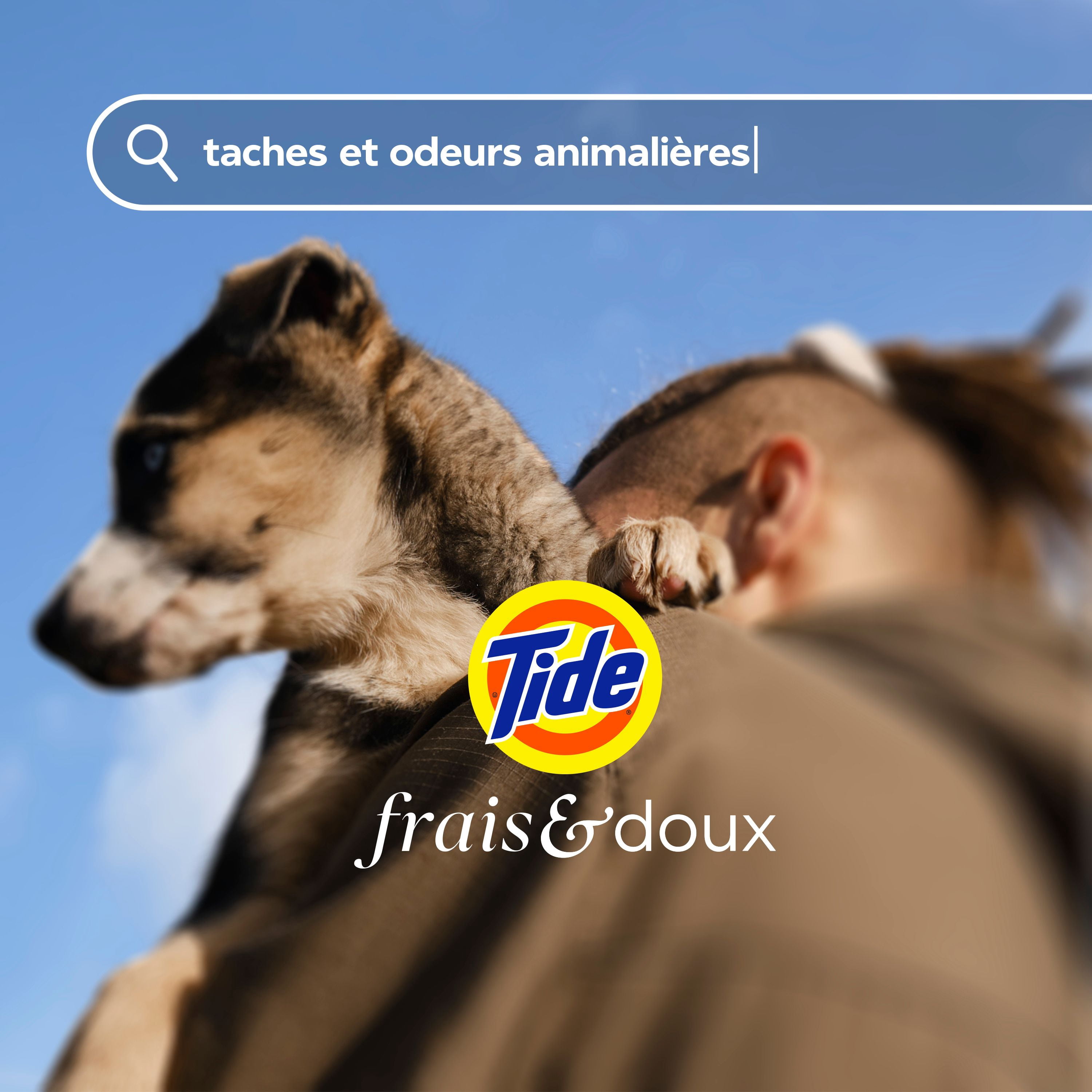 Tide Fresh & Gentle liquid laundry detergent, 100 Loads, Soft Lavender Scent, Gentle laundry soap with nature inspired freshness, Dermatologist tested, 100% free of added dyes and heavy perfumes