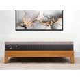 thumbnail image 1 of NSC Medical NanoSleep™ 10 in Foam Mattress - Twin, 1 of 1