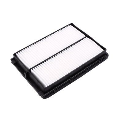 Acaige Air Filter 28113A9100 For Hyundai Palisade 2020-2023 Santa Fe 2017-2020