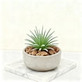 thumbnail image 3 of Lifelike Succulent Arrangement Modern Farmhouse For Home Desk, 3 of 3