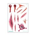 thumbnail image 1 of CAROOTU Halloween Stickers Waterproof Simulation Scratches Scars Bite Marks Simulation Fake Wound Tattoo, 1 of 7
