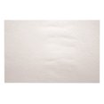 thumbnail image 1 of Burmax Serviettes Protectrices pour Ongles Dl Pro avec Support en Plastique 50 Unités, 1 of 1