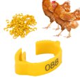 thumbnail image 1 of Poultry Leg Bands, Six Card Slots Retractable Used Flexibly Distinguish Different Varieties Chicken Foot Rings  For Outdoors For Poultry For Daily For Home, 1 of 8