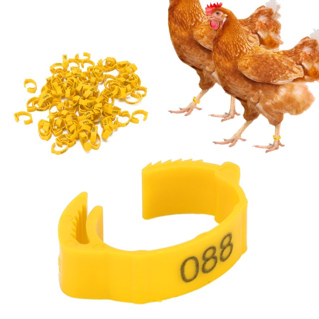 Poultry Leg Bands, Six Card Slots Retractable Used Flexibly Distinguish Different Varieties Chicken Foot Rings For Outdoors For Poultry For Daily For Home