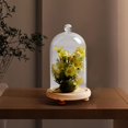thumbnail image 2 of veasfak Cloche en Verre Transparent Support Multifonctionnel pour Maison Bureau 9x12cm, 2 of 9