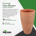 thumbnail image 2 of Algreen Jardinière Vase Courbée, Pot de Plante 12 Pouces x 20 Pouces, Usage Intérieur Extérieur - Acerra, Rouille, 2 of 8