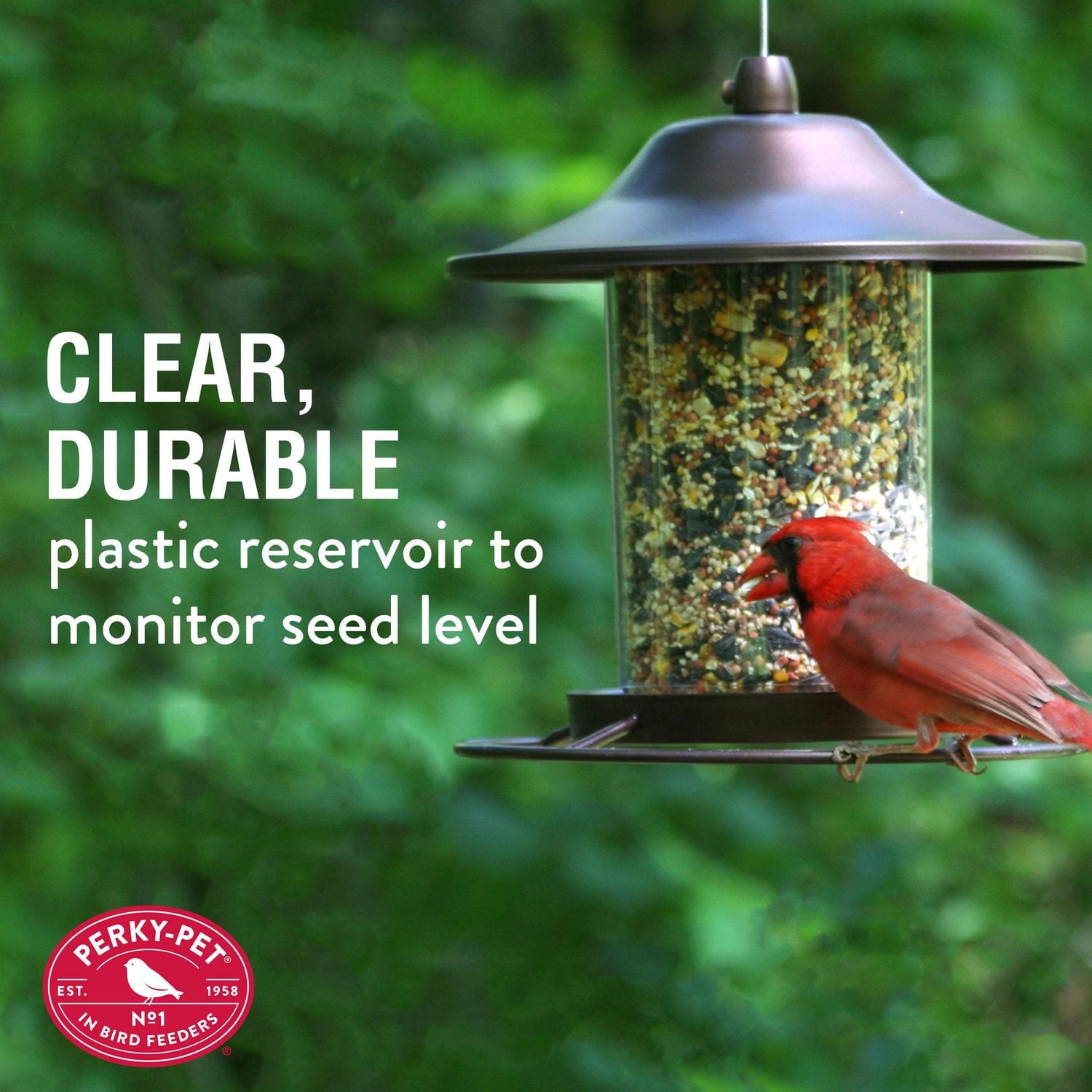Perky-Pet 2 lb Small Panorama Wild Bird Feeder