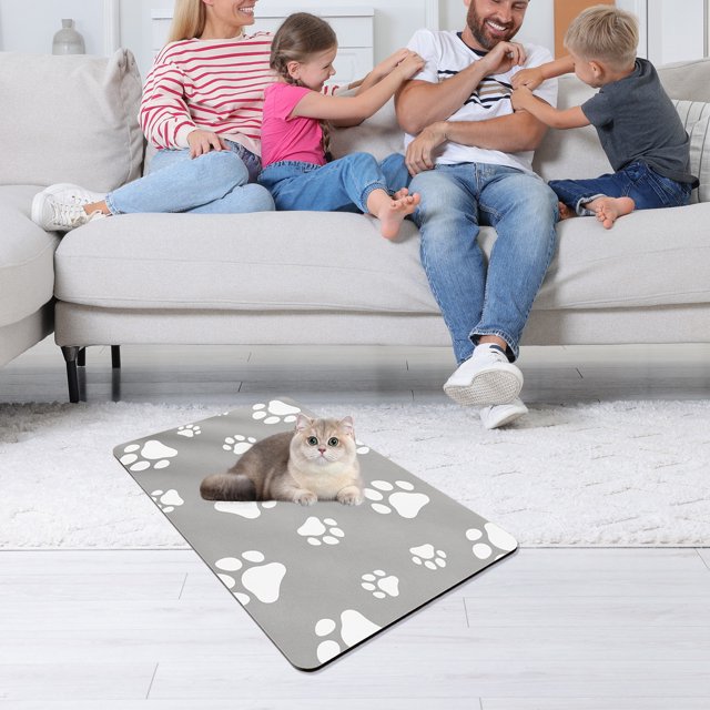 EGNMCR Bathroom Rugs, Rugs for Living Room, Kitchen Rugs Cats Scratch Large-scale Grinding Claw Cats Toys Wear Scratch Dart Scratch Basin One Cats Rattan Weave Cats Sleeping Mat Mat cat mats