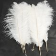 thumbnail image 4 of Ktaxon 100PCS Nature Ostrich Feathers Home Party Decor Color White, 4 of 5