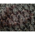 thumbnail image 4 of oneOone Silk Tabby Fabric Leaves & Floral Block Printed Fabric 1 Yard 42 Inch Wide, 4 of 5