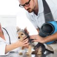 thumbnail image 4 of Pet Dog Sling Carrier Breathable Mesh Travel Safe Sling Bag Carrier for Dogs Cats, 4 of 7