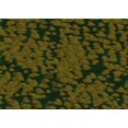 thumbnail image 1 of Ahgly Company Tapis d'Intérieur Rectangulaire Transitionnel Vert Olive Lavable à la Machine, 5 Pieds x 7 Pieds, 1 of 7