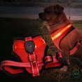 thumbnail image 2 of TIELUTT Laisse Lumineuse Harnais Réfléchissant Ajustable Collier à DEL Rechargeable par USB Bandes Ventrales pour Chiens Mâles avec Anneaux à Boutons-Pression Grand Gilet Coyote pour Chat Podomètre à Enjambement Bas Chandails pour Chiot pour Petits Chiens Extr, 2 of 4