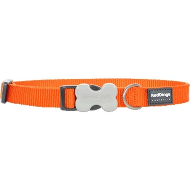 Red Dingo DC-ZZ-OR-SM Collier pour Chien Classique Orange - Petit
