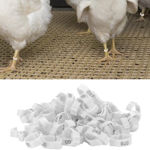 Poultry Leg Bands, Six Card Slots Retractable Used Flexibly Distinguish Different Varieties Chicken Foot Rings For Outdoors For Poultry For Daily For Home