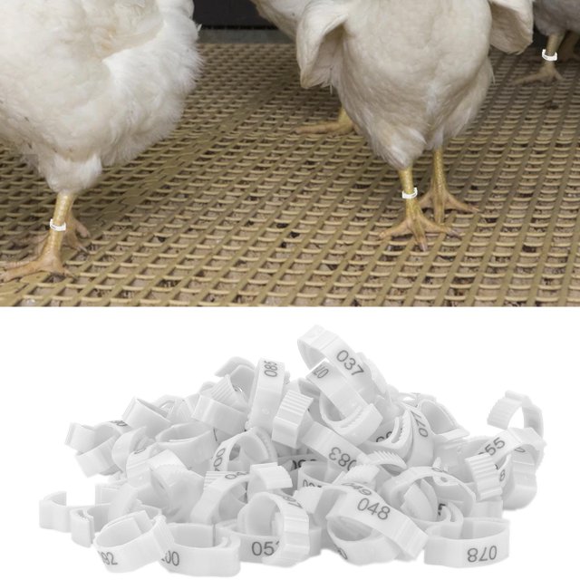 Poultry Leg Bands, Six Card Slots Retractable Used Flexibly Distinguish Different Varieties Chicken Foot Rings For Outdoors For Poultry For Daily For Home