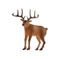 thumbnail image 2 of Milaget 1/64 Scale People Figures Delicate Park Street Scenes Layout Realistic Kids Gift Deer, 2 of 9