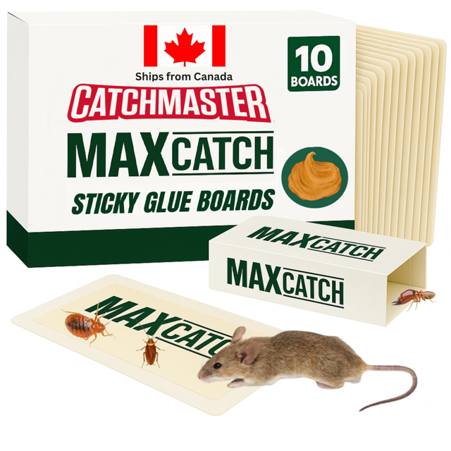 MAX Catch Pièges à Souris Collants, Planches de Colle Collante, Catchmaster, Pièges à Insectes Collants, Planches de Colle pour Arachides pour le Contrôle des Souris et des Insectes - Lot de 10