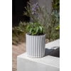thumbnail image 4 of Veradek Mason Series Demi 6" Planter 2 Pack White, 4 of 9