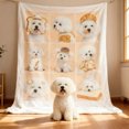 thumbnail image 2 of BAOPAI Customized Christmas Photo Blanket For Families Making Thick Winter Personalized Blankets With Pictures And Text Rectangular Blankets Holiday Hold 1-9 Images, 2 of 9