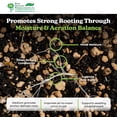 thumbnail image 4 of PVP Industries Medium Vermiculite Professional Grade Soil Conditioner, 4 cu. ft., 4 of 10
