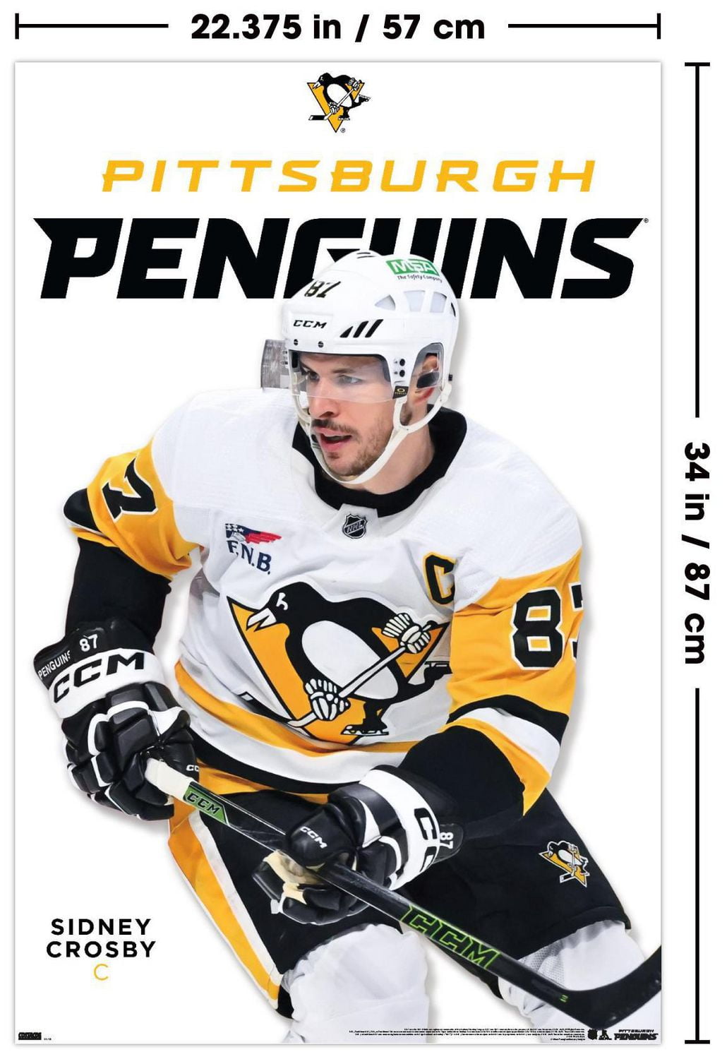 NHL Pittsburgh Penguins - Sidney Crosby Feature Series 24 Wall Poster, 22.375" x 34"