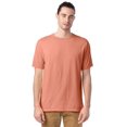 thumbnail image 1 of Hanes T-Shirt à Manches Courtes Teint en Pièce ComfortWash pour Hommes Grande Taille, P, Argile, 1 of 1