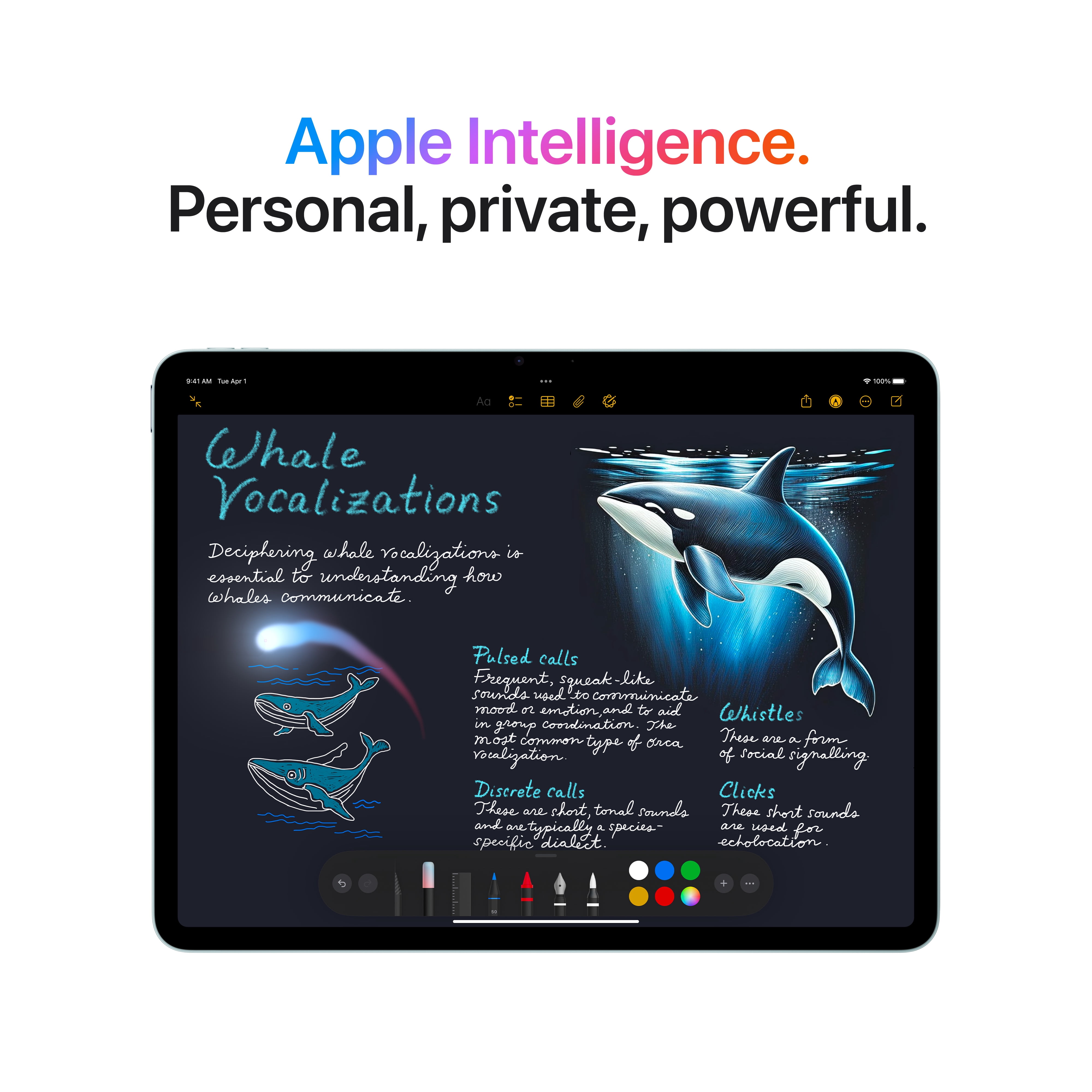 iPad Air 13 pouces M3, Wi-Fi 256go