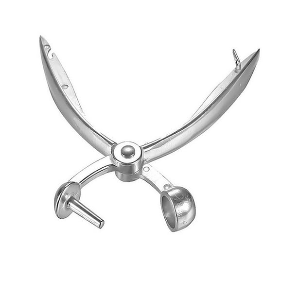 Bovemsi Peeler Tool Wrea Cherry Pitter Stainless Cherry Remover Chopping Tool To Cherries Stone