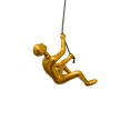 thumbnail image 1 of GRIMPEUR SUSPENDUE, 1 of 4