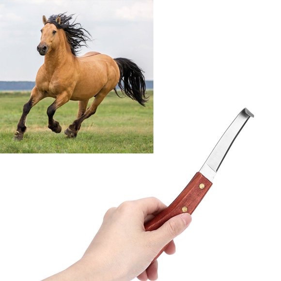 Spptty Farrier Hoof Knife, Wooden Handle Hoof Knife Curved blade For Horses