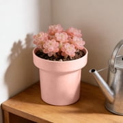 Wuztai Planter, Mini Plastic Flower Pot for Indoor Plants, Creative Desktop Planter for Succulents Cacti Herbs