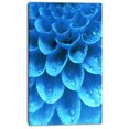 thumbnail image 2 of Large Light Blue Flower and Petals - Floral Canvas Art Print, 2 of 3